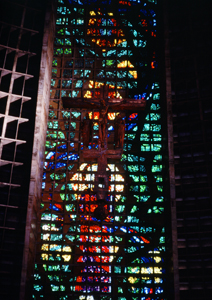 LEICA M6, SUMMICRON 2/50